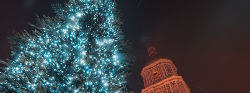 В Киеве на Софийской площади главную елку страны украшают под покровом ночи