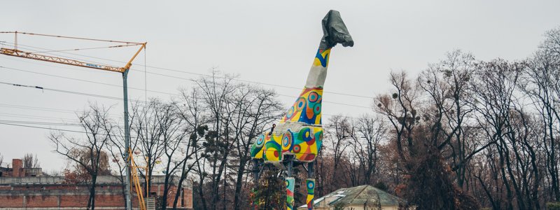 В зоопарке Киева жирафу надели мешок на голову