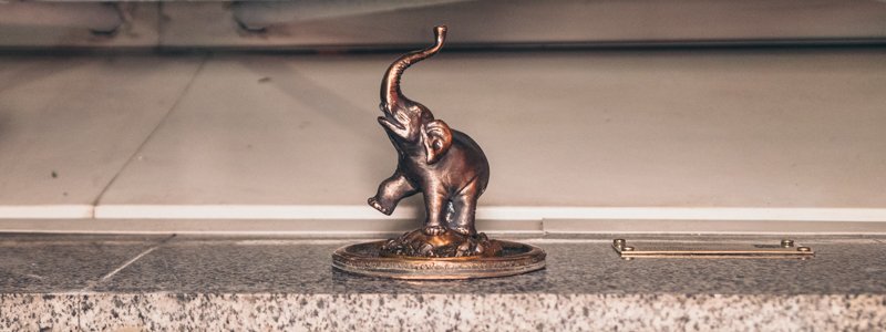 В Киев вернулся слоник: где найти украденную ранее фигурку "Шукай"