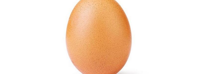 Самое популярное яйцо в Instagram запустило свою линию одежды
