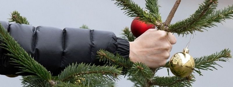 Сколько елок жители Киева сдали на переработку после Нового года и что с ними будут делать