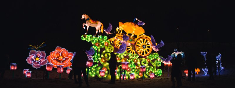 40-метровый дракон, панды и фламинго в Киеве: чем уникален фестиваль китайских фонарей на Певческом поле