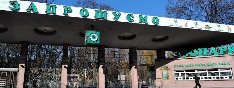 В зоопарке Киева снесут 10 зданий: с чем это связано