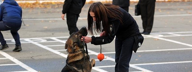 Под Киевом полицейский пес помог раскрыть убийство строителя