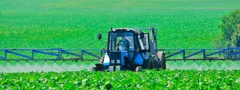 Заборона використання в Україні пестицидів групи неоникатиноїди та інших шкідливих препаратів