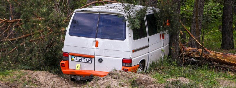 Под Киевом Volkswagen вылетел с дороги и снес дерево: погибшего водителя вырезали спасатели