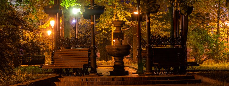 Особый взгляд: как выглядит одинокий Мариинский парк в свете фонарей