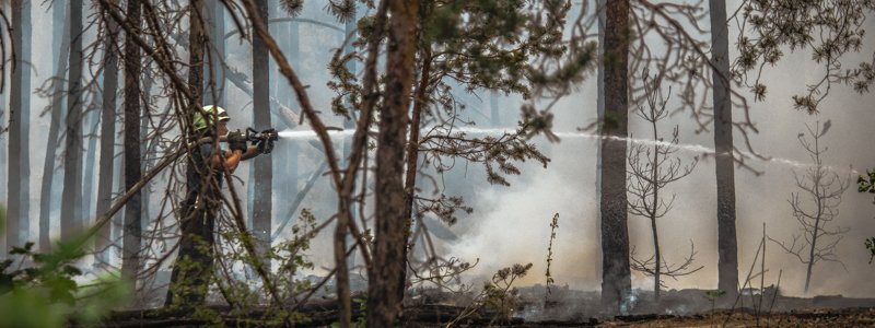 В Киеве вновь объявили о чрезвычайной пожарной опасности: как вести себя при пожаре