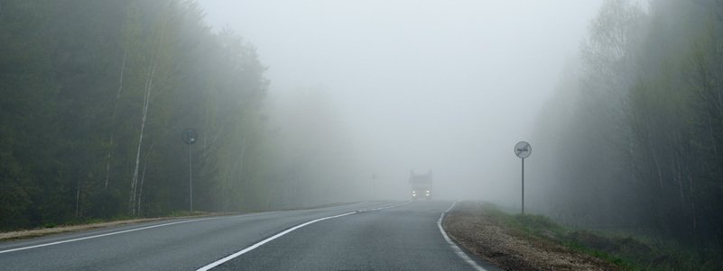 Киев окутал густой туман: видимость на дорогах ограничена