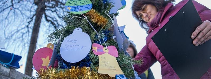 "Мира, счастья и надежды": в Киеве установили елку с пожеланиями Украине