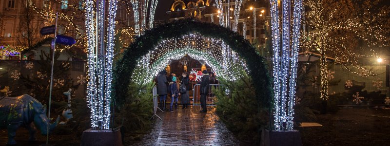 Светящиеся звери, деревья и скульптуры: что посмотреть на фестивале иллюминаций в Киеве