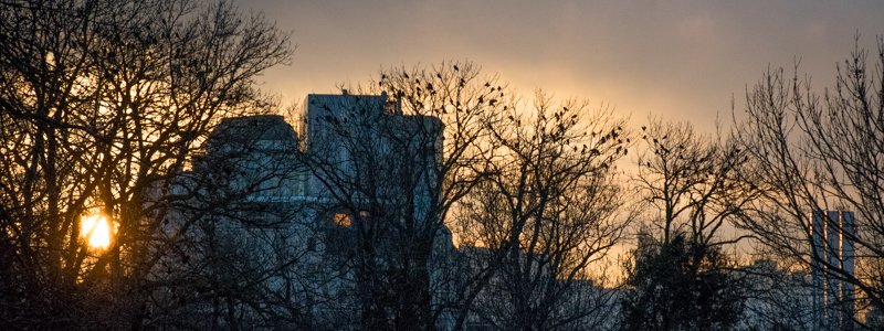 Как Киев встретил первое солнце в 2018 году