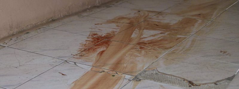 Окровавленная пиковая карта и срезанные брови: подробности убийства на Подоле в ночь на Рождество