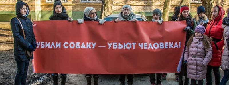 В Киеве зоозащитники и их собачки заставили прокурора разобраться со зверским убийством Бубы