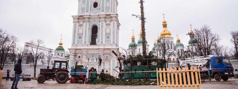 Резня бензопилой на Софийской площади: Киев расстался с главной елкой страны