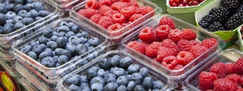 До конца недели в Киеве будут проходить продуктовые ярмарки: где купить свежие овощи и ягоды