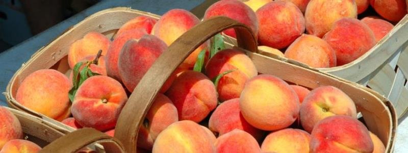 Где в Киеве купить малину, абрикосы и сладкие персики возле дома: адреса