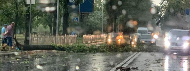 На Киев обрушился ливень и ураган
