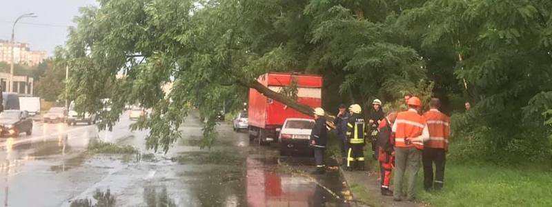 Поваленные деревья и затопленные улицы: последствия ливня и урагана в Киеве
