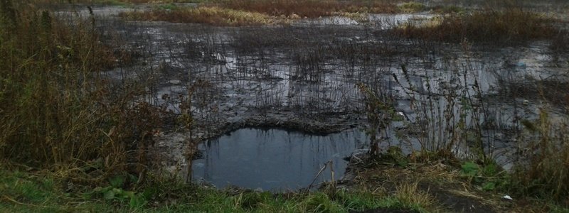 В Киеве на Русановке мужчина застрял в болоте