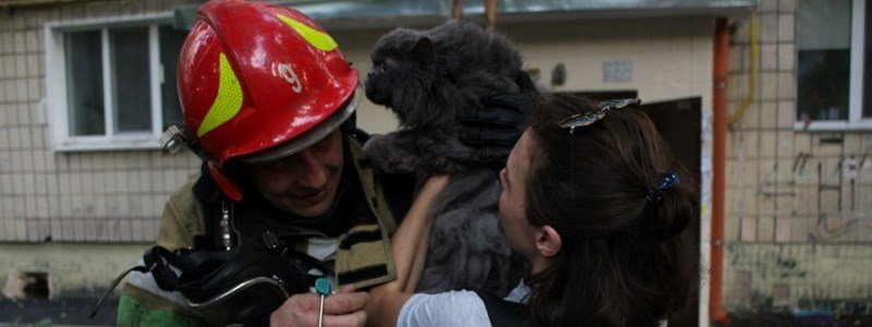 В Киеве из пожара в доме, где погиб мужчина, спасли кота