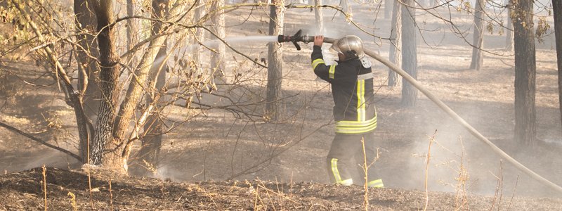 В Киеве на Лесном горел один гектар леса: едкий дым окутал весь район
