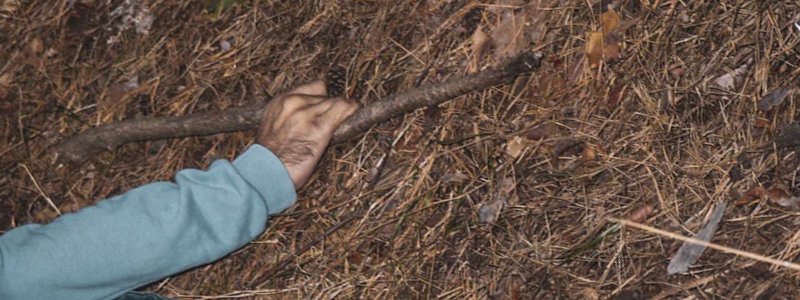 В Киеве в лесу нашли труп мужчины с палкой в руке