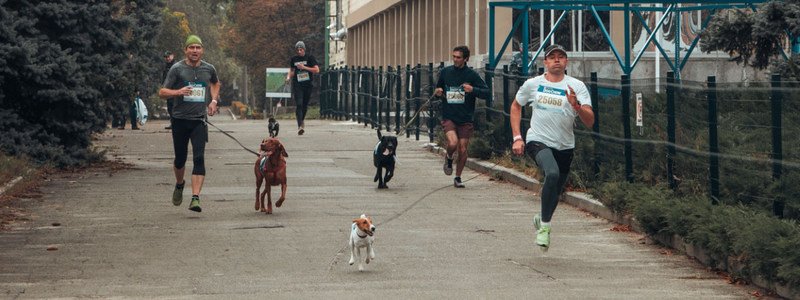 Wizz Air Kyiv City Marathon на ВДНГ открыли собаки и дети: как это было