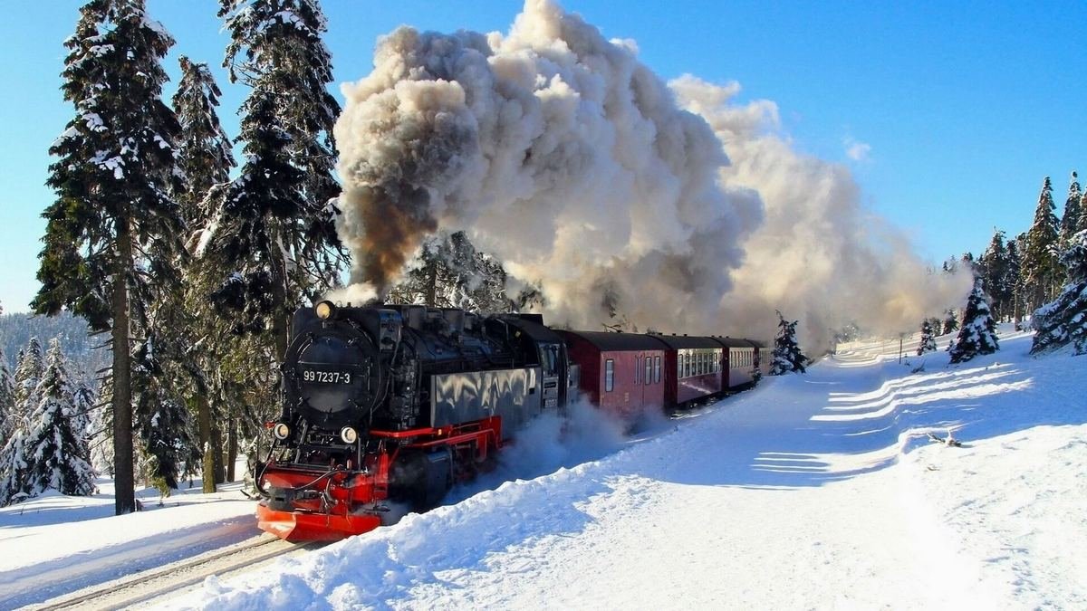 Зимой в Сырецком парке Киева будет ходить "Полярный экспресс": как он будет работать