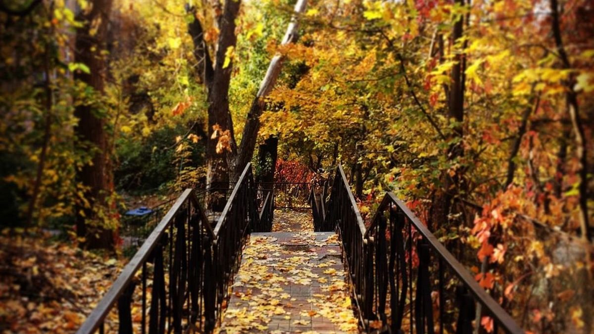 ТОП лучших октябрьских фотографий Киева в Instagram