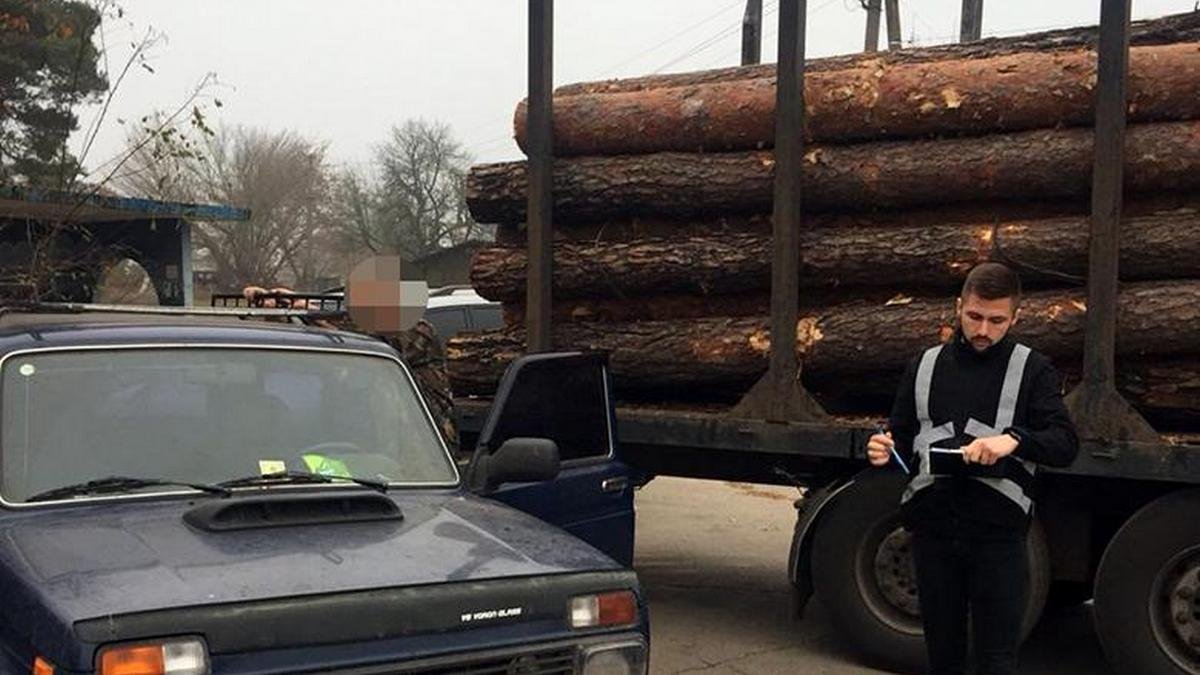 В Киеве мужчина срубил и пытался продать фуру государственного леса