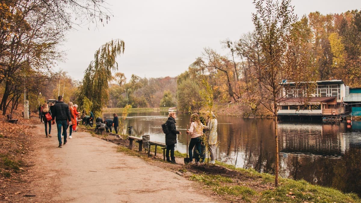 В Киеве в парке "Нивки" сотрудники сети "Евразия" посадили 23 ивы