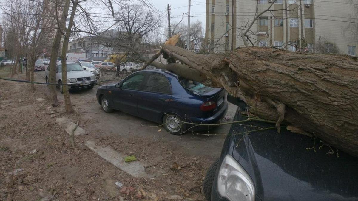 Жителей Киева предупредили об опасном ветре: когда ждать непогоды