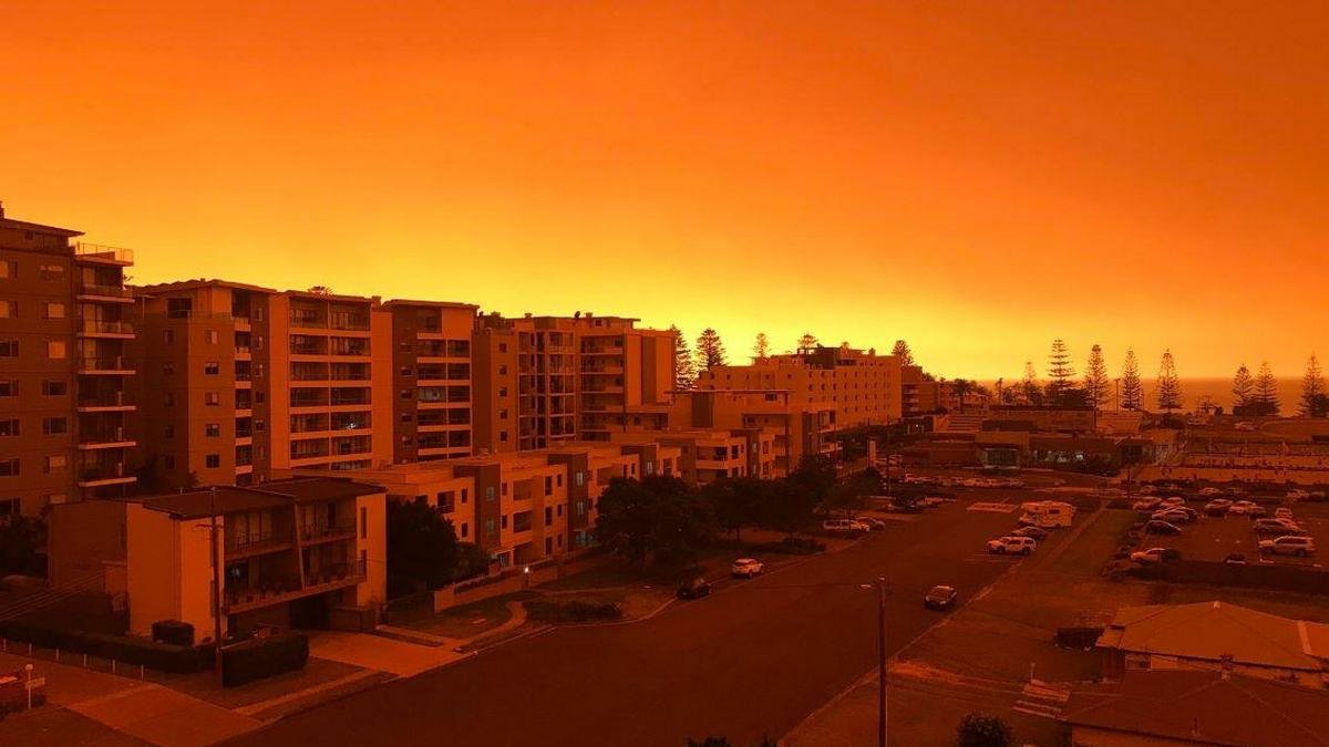 Лесные пожары в Австралии меняют погоду, Всеукраинский диктант и безвиз с Монголией: ТОП новостей дня