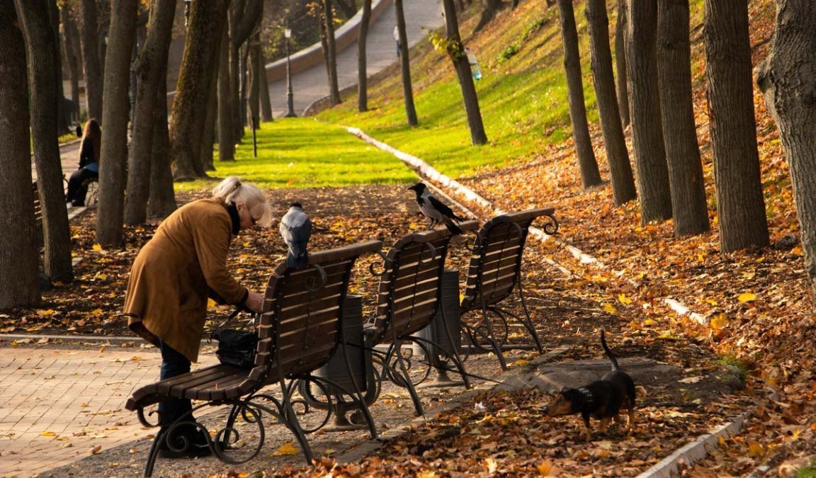 Погода на 12 ноября: в Киеве будет облачно и прохладно
