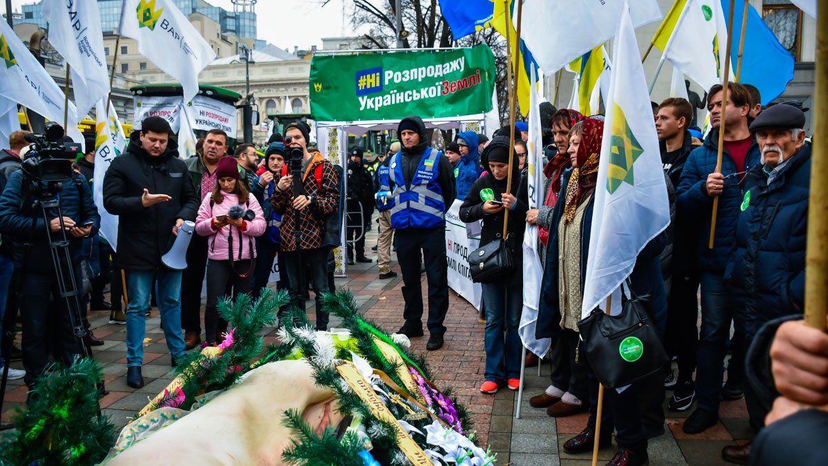 В Киеве под Верховную Раду принесли мертвую свинью в гробу