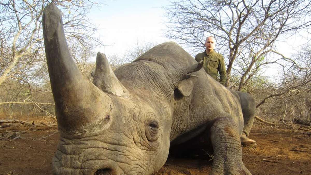Нестор Шуфрич убивал вымирающих животных в Африке: комментарий нардепа