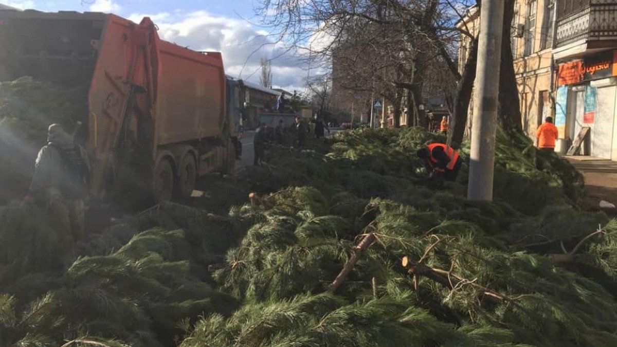Что будет с елками в Киеве после новогодних праздников