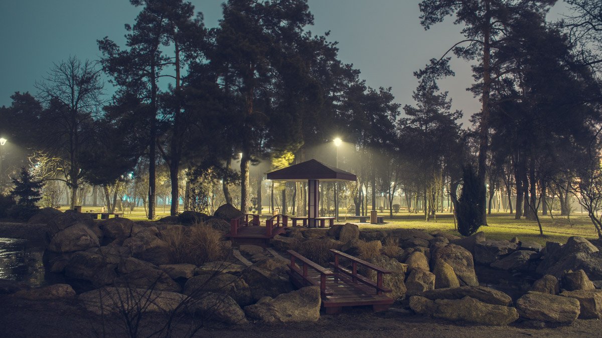 Особый взгляд: как выглядит парк Киото в Киеве при свете луны и фонарей