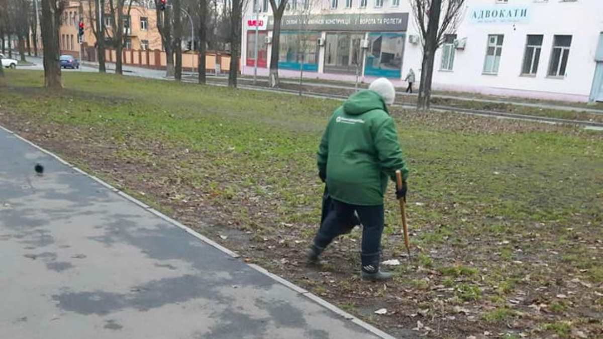 В Киеве на Академгородке вандалы выкопали 15 кустов дерена