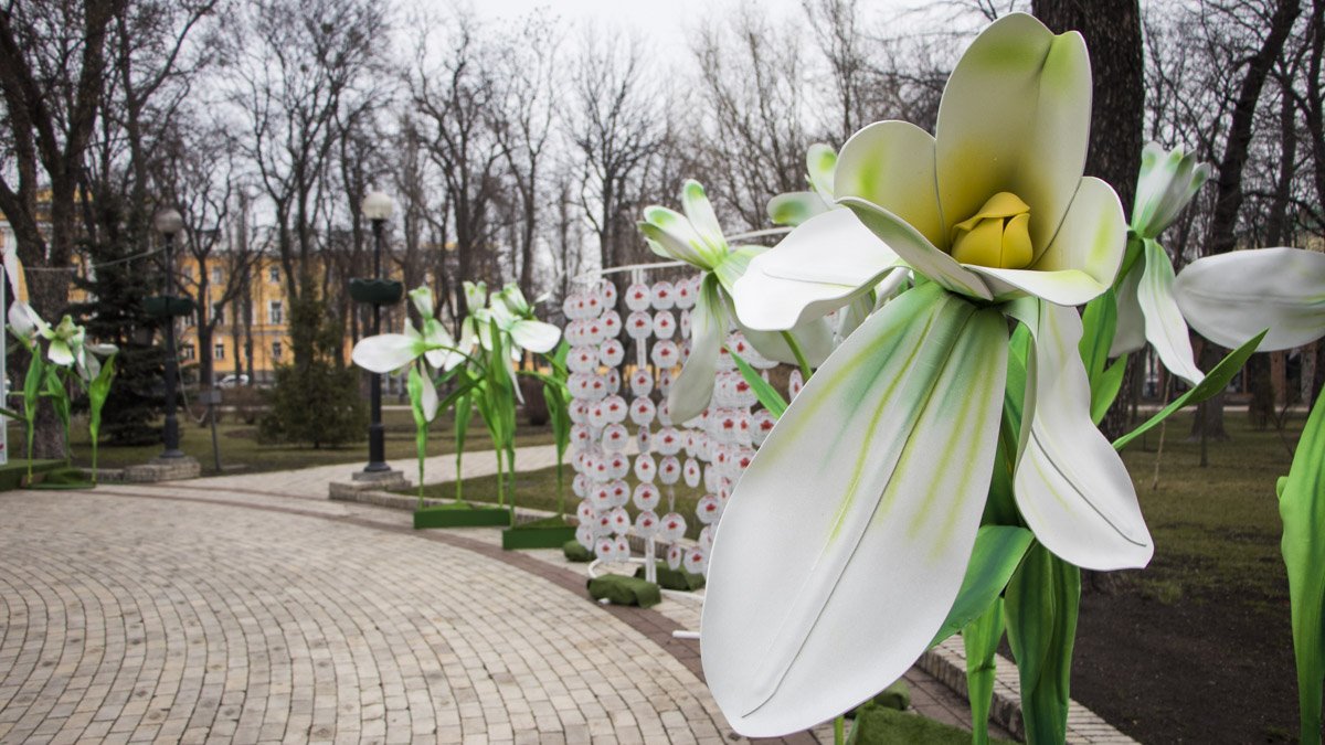 В Киеве в парке Шевченко "расцвели" гигантские подснежники