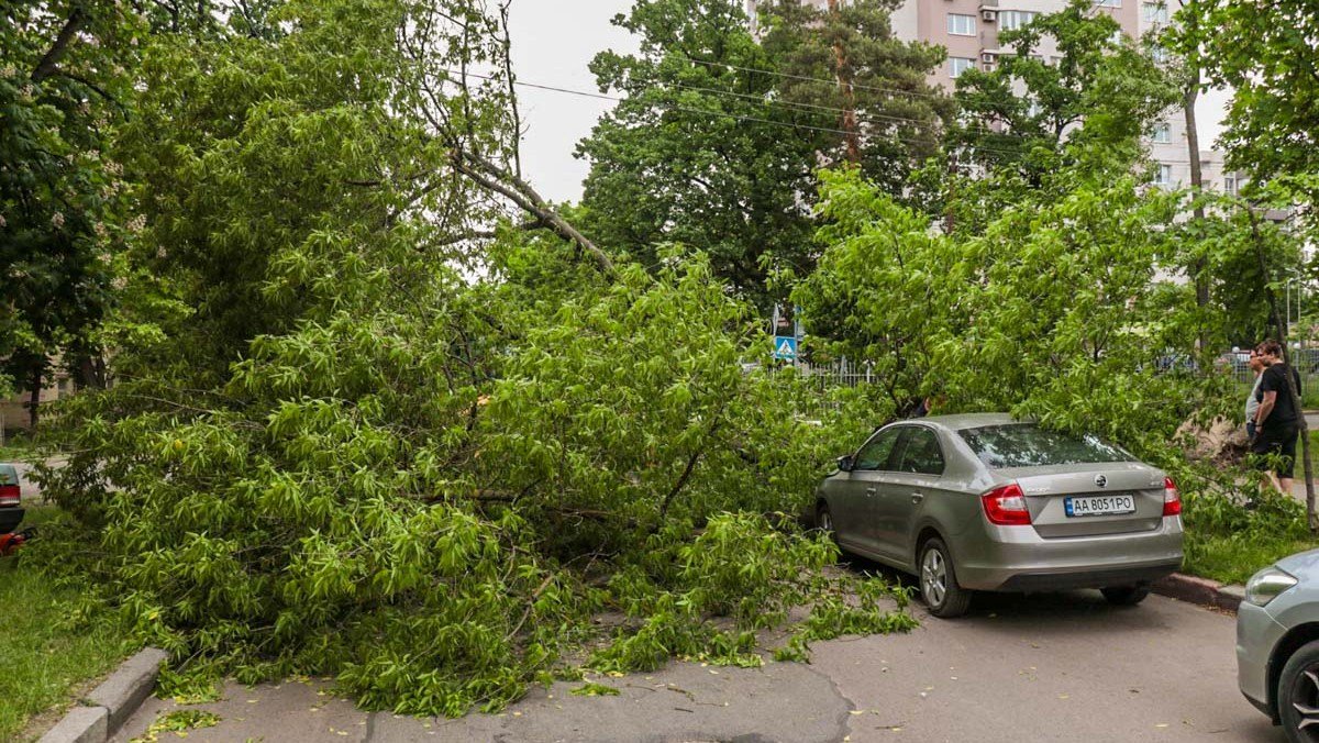 Не ходите под деревьями и не паркуйтесь у рекламных щитов: в Киеве объявили штормовое