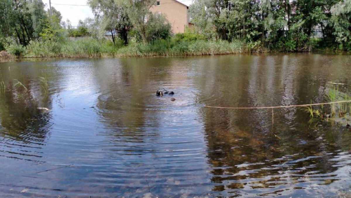 В Киеве мужчина утонул в пруду