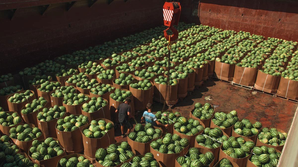 В Киеве из Херсона доставят 300 тонн арбузов: куда причалит судно и где купить спелые ягоды
