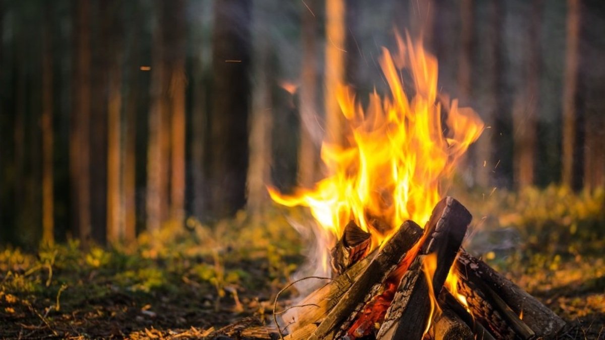 В Киеве запретили разводить костры в лесу и выжигать траву и поля после уборки
