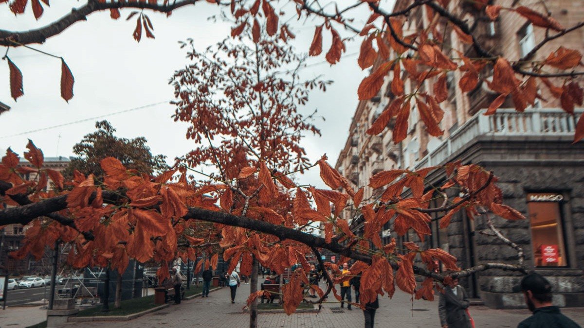 Погода на 10 октября: в Киеве будет пасмурно