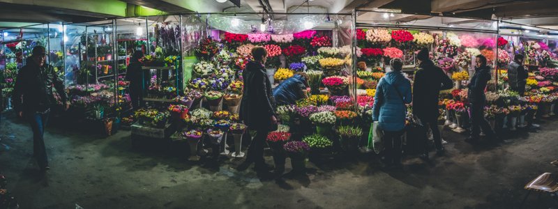 Цветы на День Валентина в Киеве: где заказать, цены и аренда для фото в Instagram