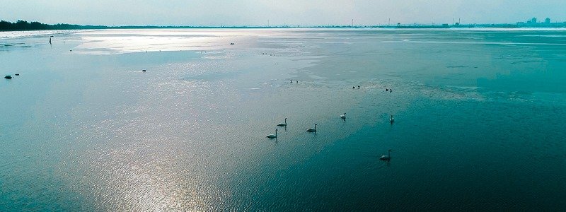 Загадочная красота водных просторов: как с высоты выглядит Киевское море