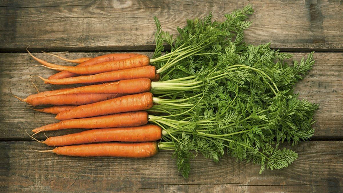 Время для пирогов и фрэшей: когда в АТБ будут продавать морковку по низкой цене