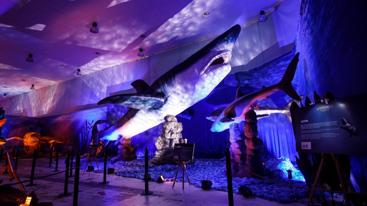 В Киеве на ВДНГ можно увидеть двухтонного крокодила и 13-метровую акулу: когда откроется и что вас ждет на новой выставке